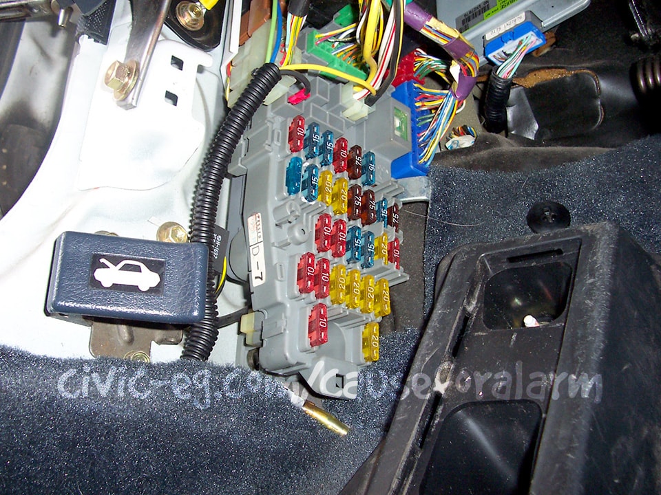 finished with the fusebox